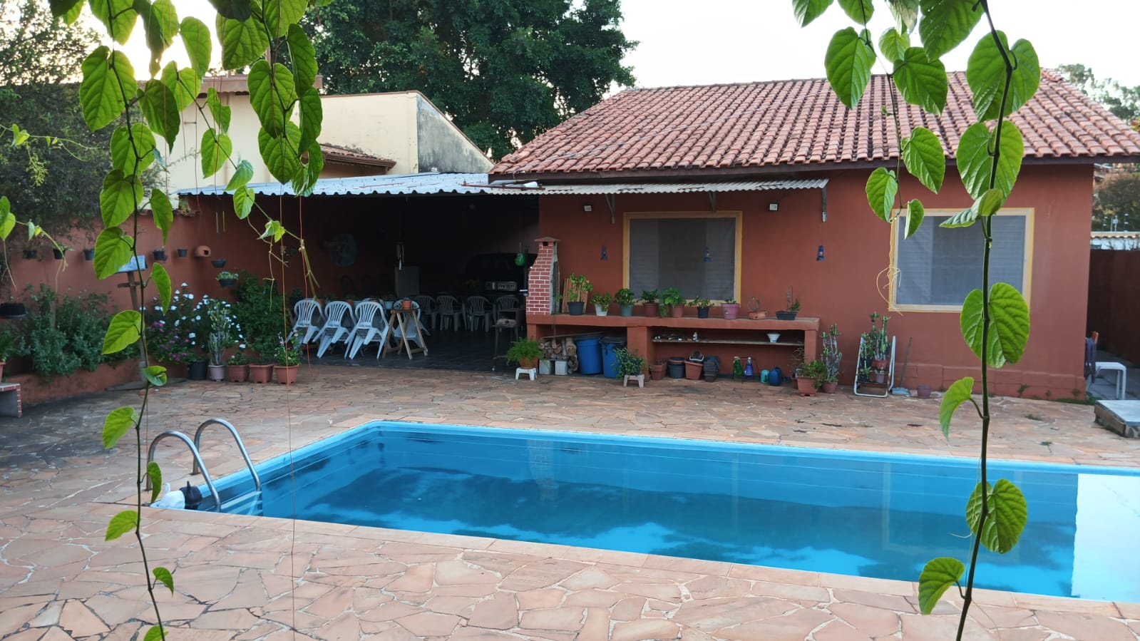 Foto 11